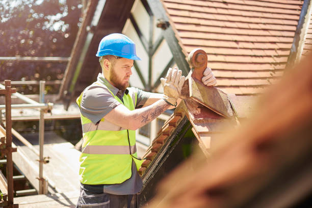 Best Roof Gutter Cleaning  in Eaton, OH